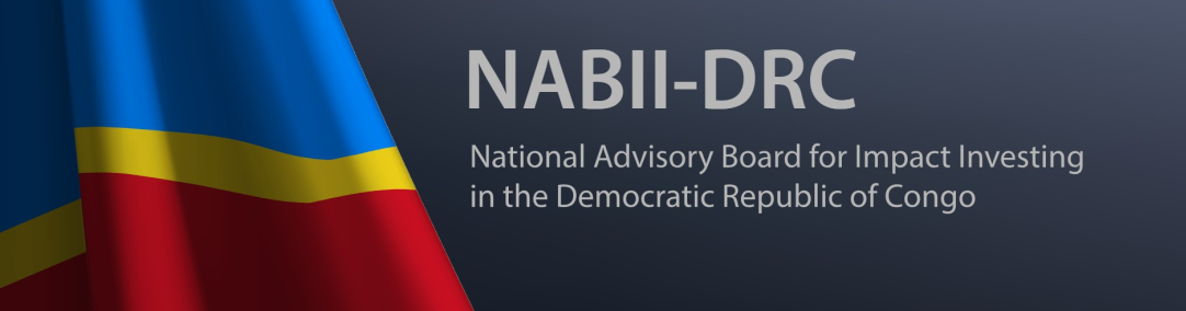 https://4ipgroup.com/project/national-advisory-board-for-impact-investing-in-the-democratic-republic-of-congo-nabii-drc/